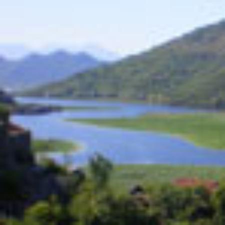 Restaurante Mate Amargo